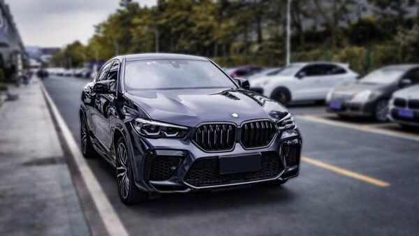 Carbon Fiber Dual Slat Grille - BMW F96 X6M & G06 X6 - Image 3