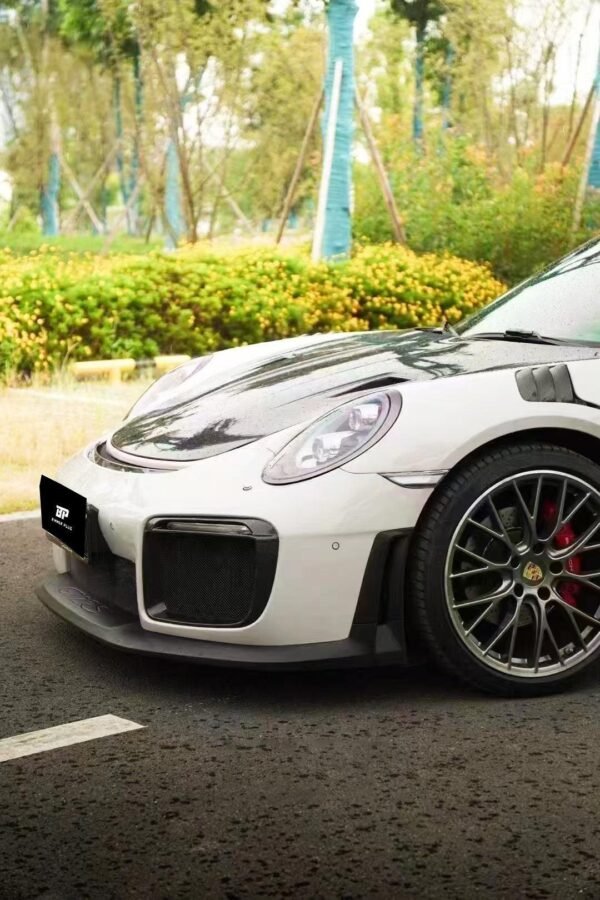 GT2RS Style Carbon Fiber Body Kit - Porsche 991 911 Carrera - Image 2